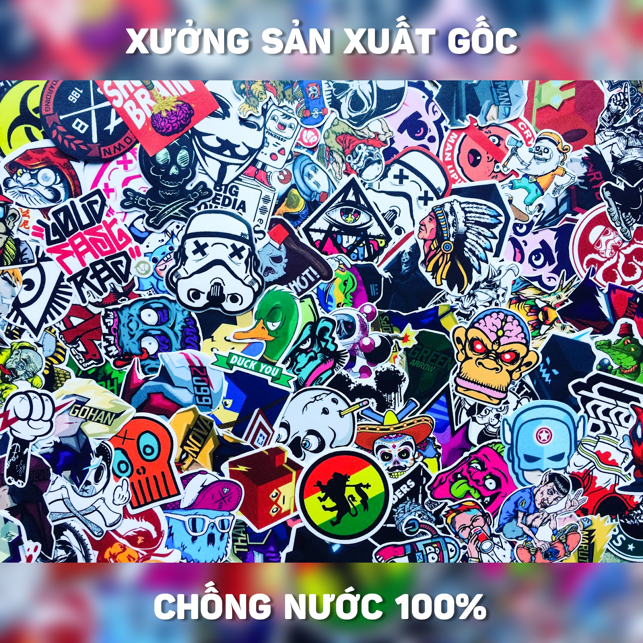 [HCM]Bộ 5 hình dán NGẪU NHIÊN - RANDOM sticker pvc chống nước cao cấp không bay màu - Owl Sticker