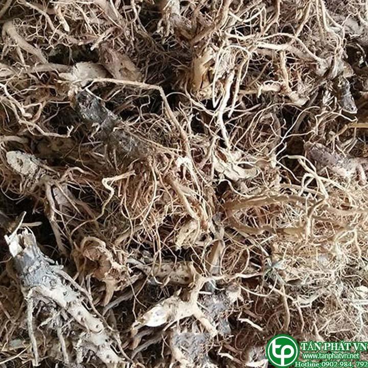 [HOT] Rể bồ công anh khô 500g