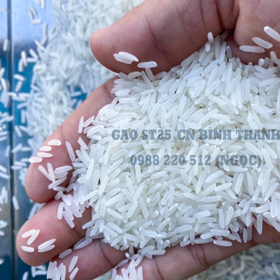 Gạo ST25 (túi 5kg, gạo mới 100%) - ST25-005-165K