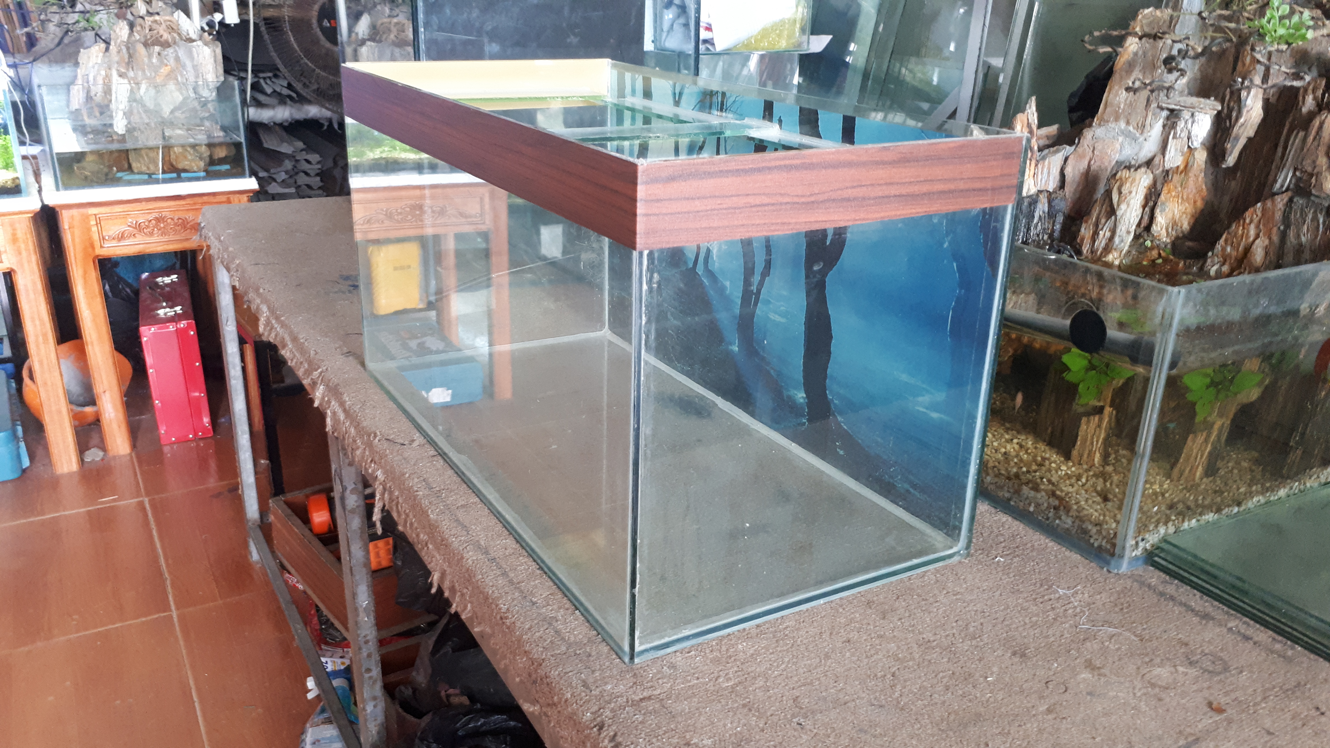 Bể kính 60 x 30 x 32 (cm) ( dài X rộng x cao)