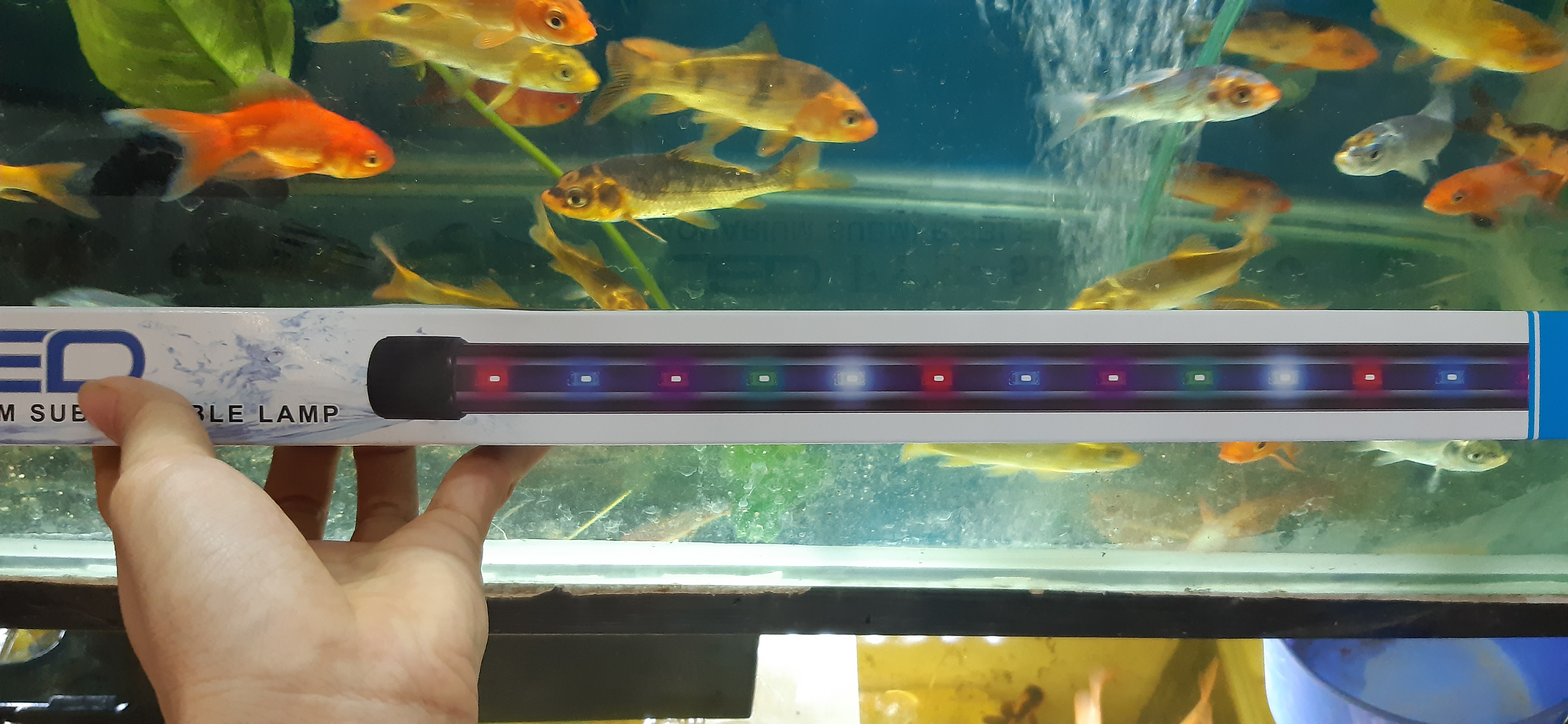 Đèn Led chìm cho Bể cá CaiBao T4- 60 3 chế độ màu