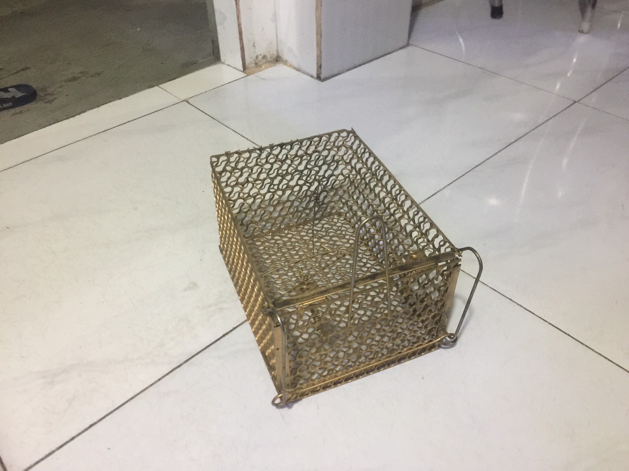 Bẫy chuột thông minh, bẫy chuột lồng sắt  - MICE.STORE