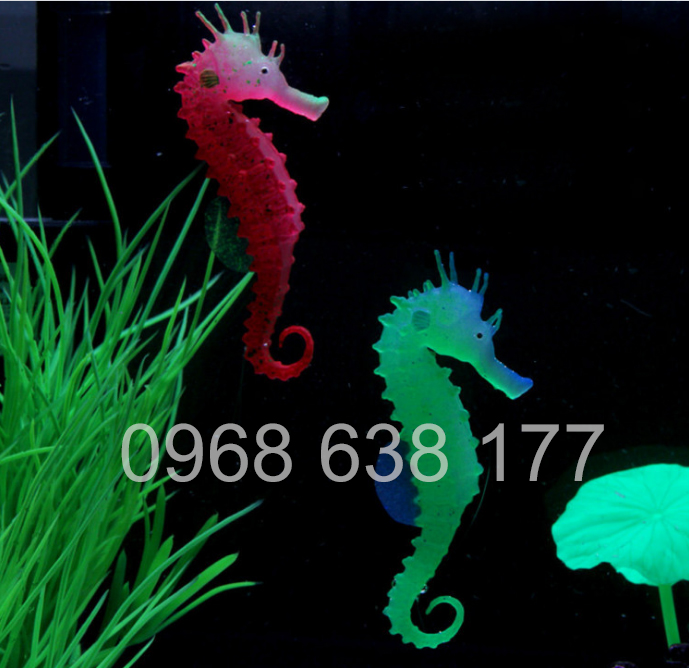 CÁ NGỰA THỦY QUÁI MINI - PHỤ KIỆN HỒ CÁ - THỦY SINH - TRANG TRÍ BỂ CÁ