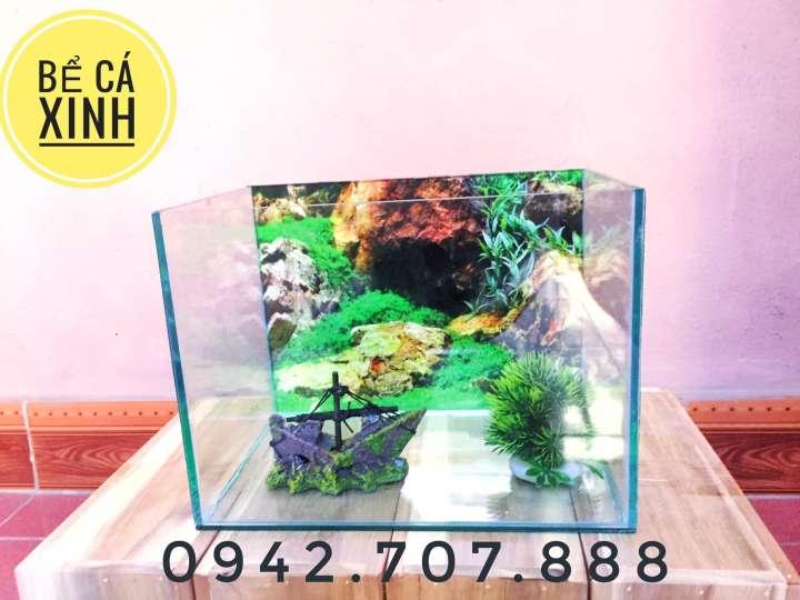 Bể cá 30*20*20 DRC - tặng cây và thức ăn - Hồ cá mini để bàn