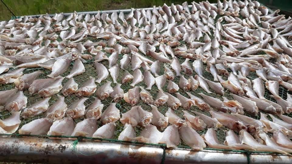 0.5 kg khô cá đù Gò Công