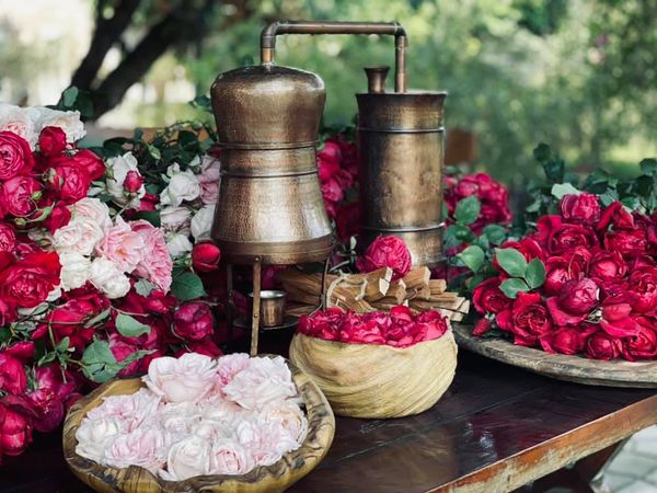 Nước cất hoa bưởi Karose Pomely