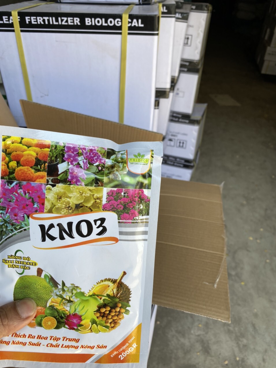Phân Bón Ra Hoa Kno3
