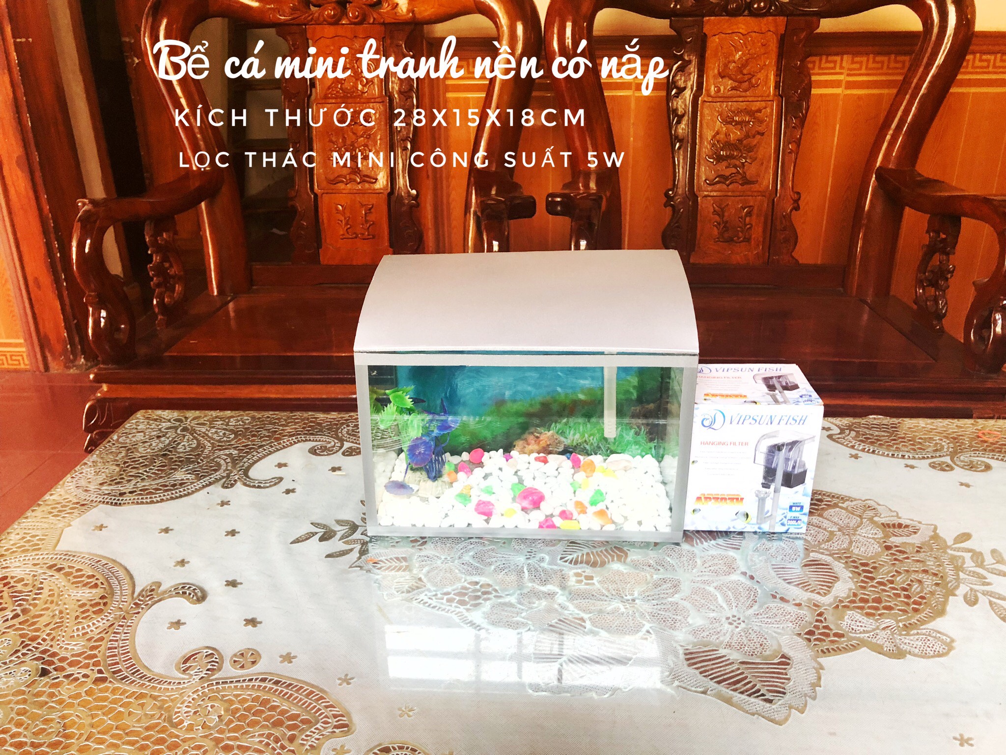 [hot hot] Bể cá mini có nắp đậy cỡ 28*15*18cm