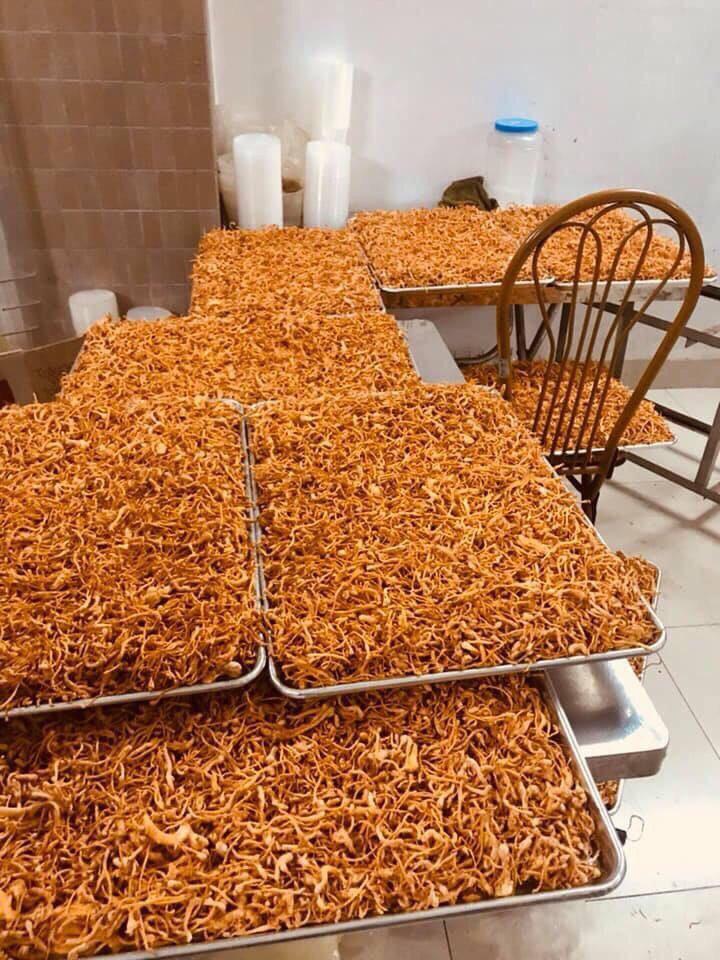 100G Nấm Đông Trùng Hạ Thảo Khô