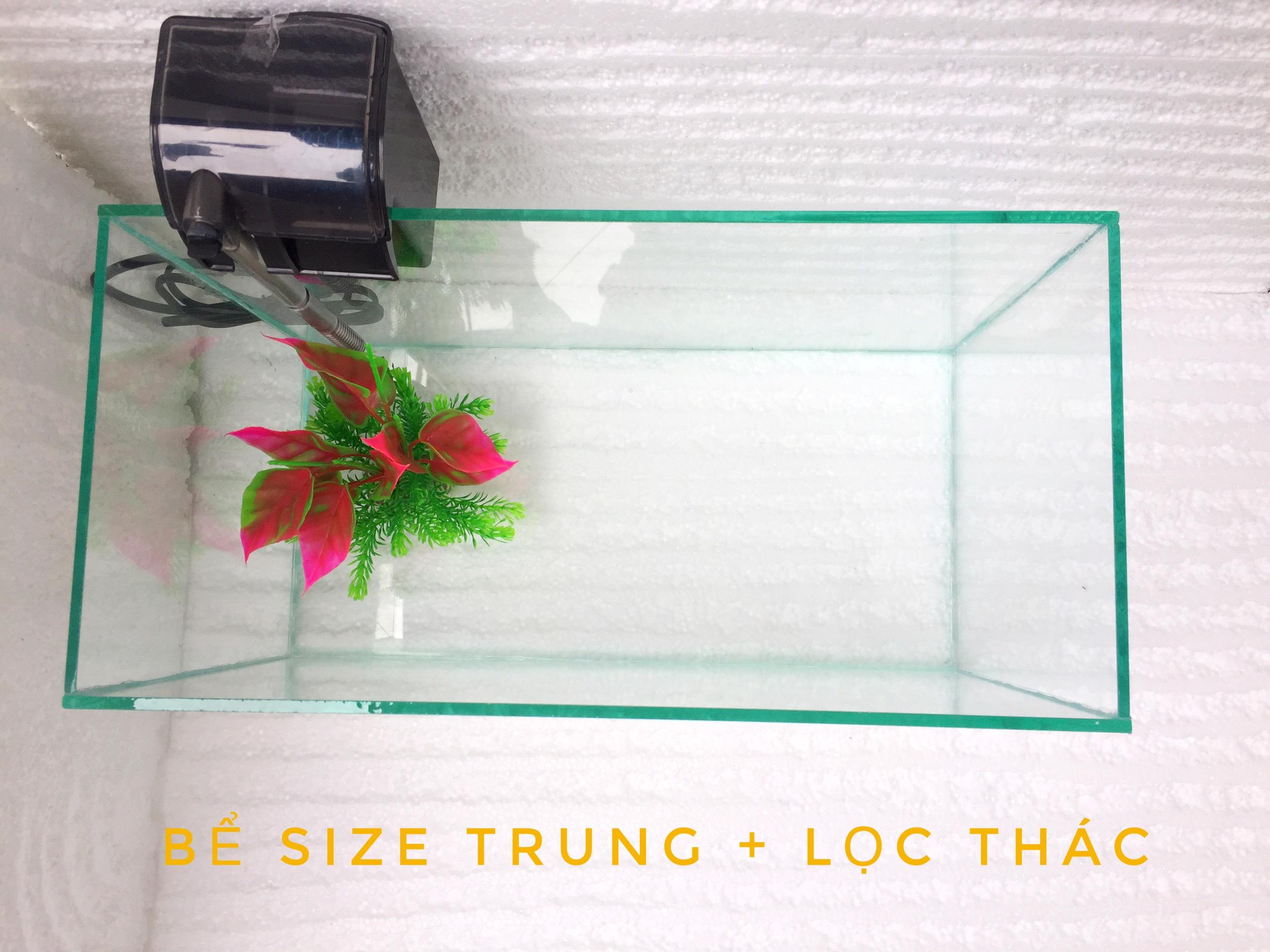 Bể cá size trung 40*20*23cm kèm lọc thác ( tặng cây và thức ăn)