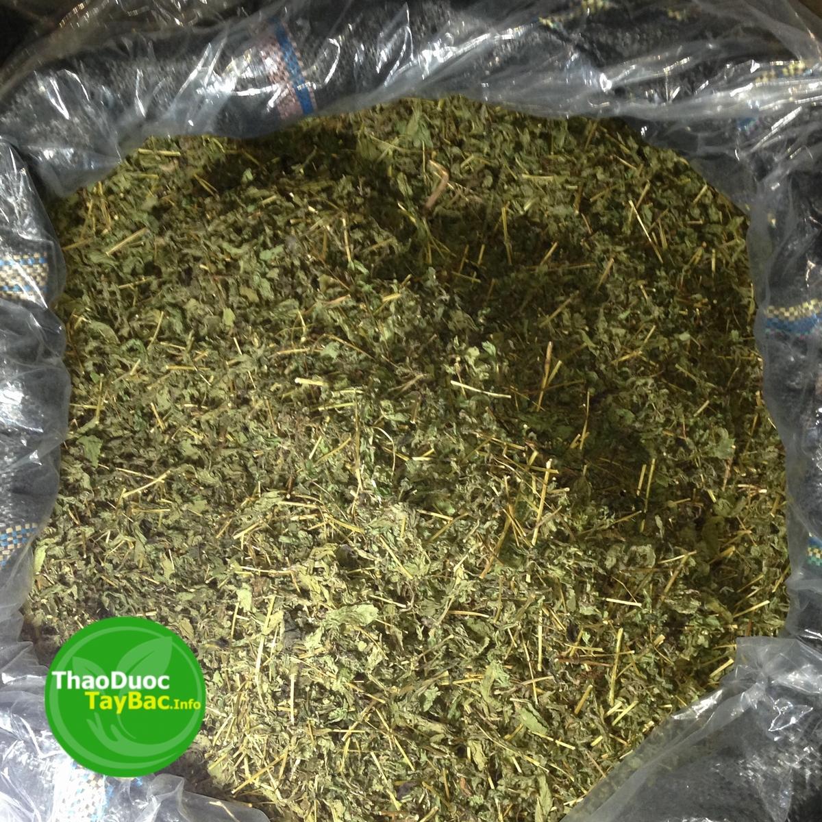 Trà Cỏ Ngọt Khô