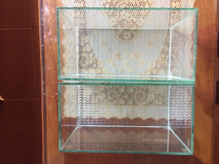 Bể cá mini  để bàn 30x14x15cm (tặng cây và thức ăn cá)