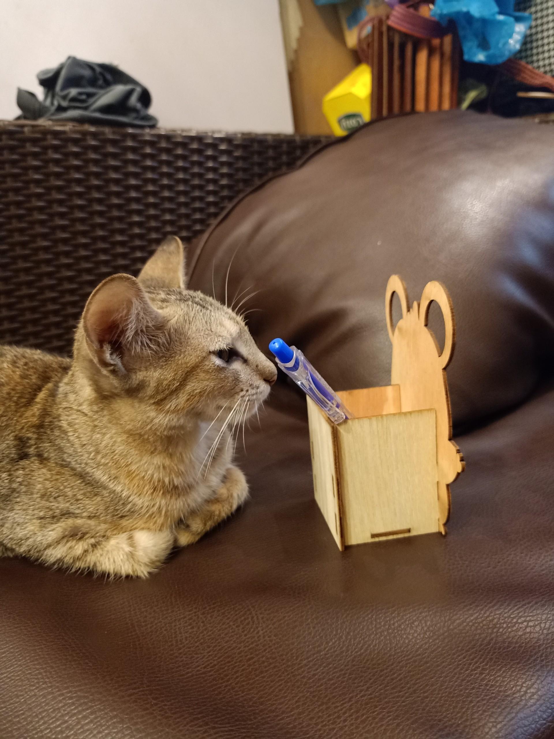 Hộp bút chuột cute