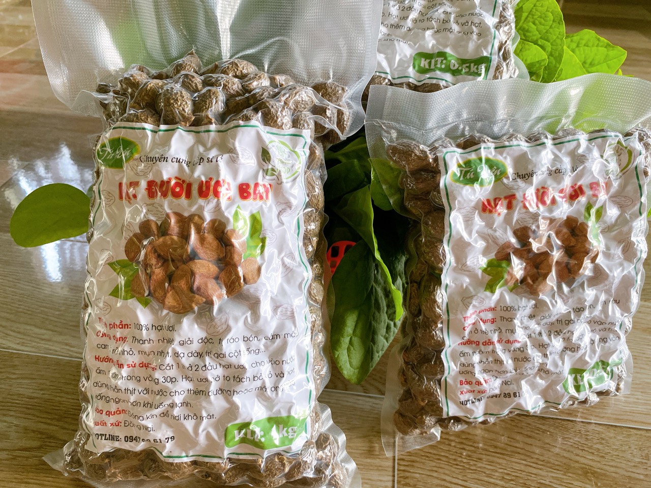 Hạt đười ươi bay rừng Nam Cát Tiên