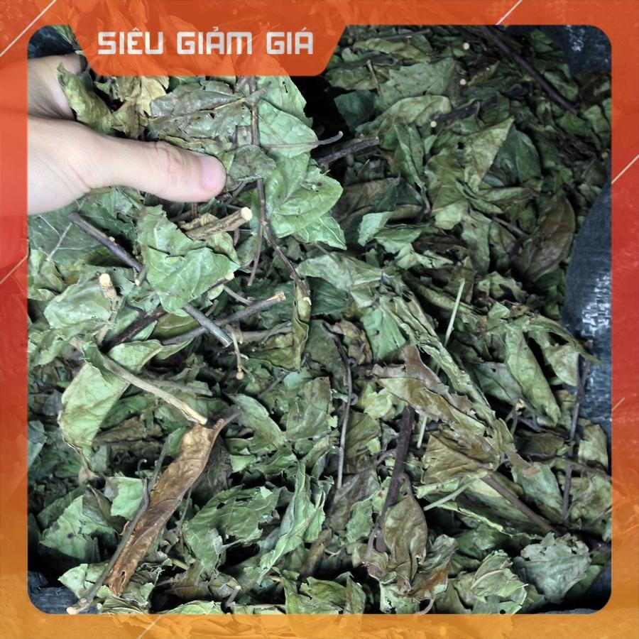 [Bịch 1Kg] ✅ Xạ Đen Hòa Bình - Cây Xạ Đen Lá Răng Cưa