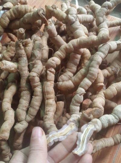 Ba Kích Tím Quảng Ninh loại ngon (gói 2kg)