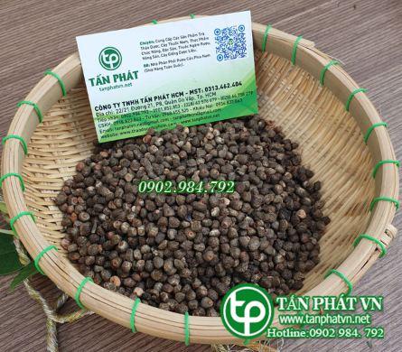 Hạt chuối hột rừng khô 500g - tấn phát