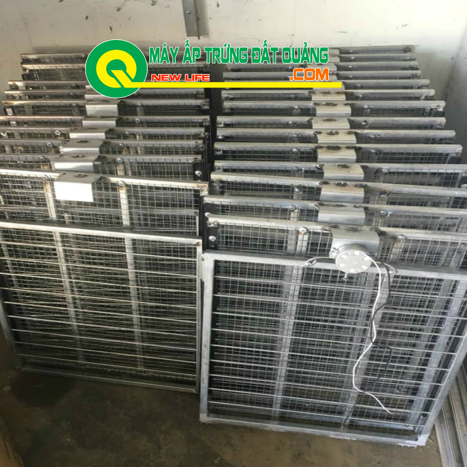 KHAY ĐẢO LĂN MÁY ẤP TRỨNG