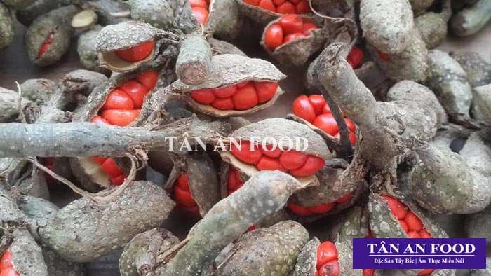 100g Hạt Dổi Nếp Tây Bắc