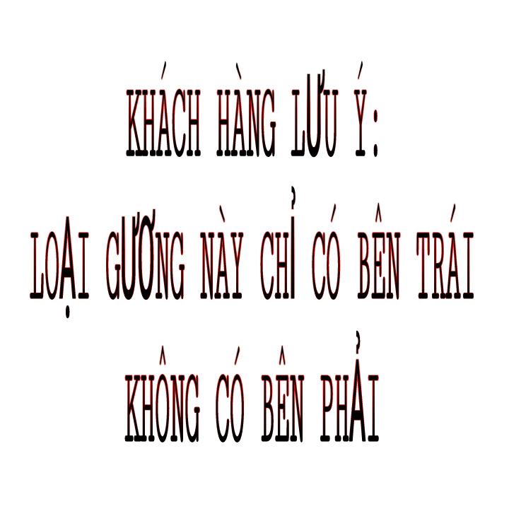 Gương chiếu hậu xe máy (01 chiếc bên trái)