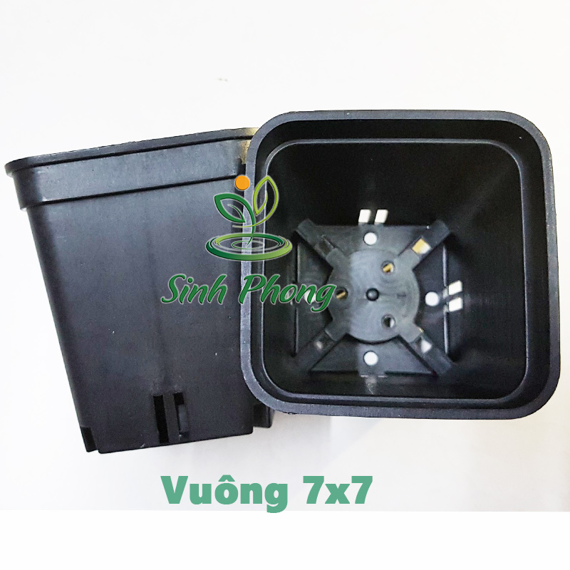 Chậu vuông 7x7 đen (set 50 cái)