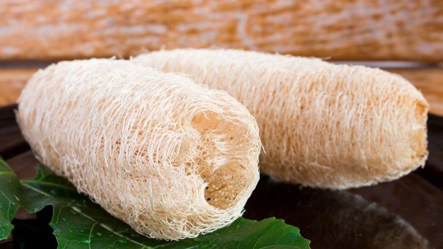 Bông Tắm Xơ Mướp khô (10 inches)
