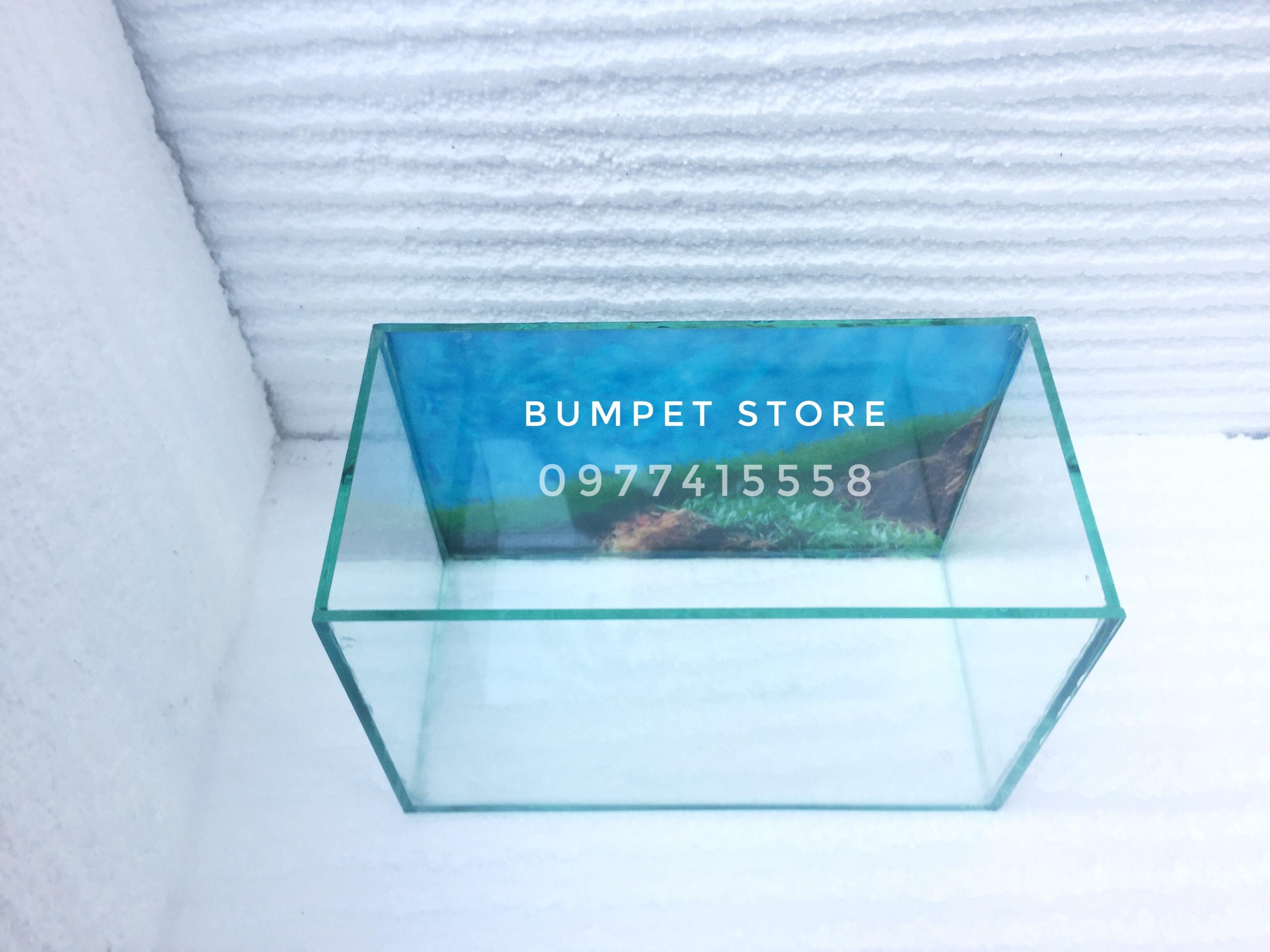 Bể cá cảnh cỡ 30*15*18cm có tranh nền