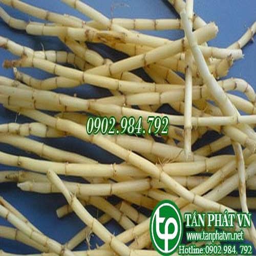 Rễ Cỏ Tranh Tươi 1kg Tấn Phát