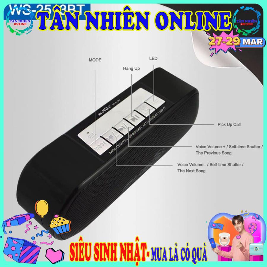 Loa Bluetooth WSTER WS 2513B siêu phẩm âm thanh cực đỉnh