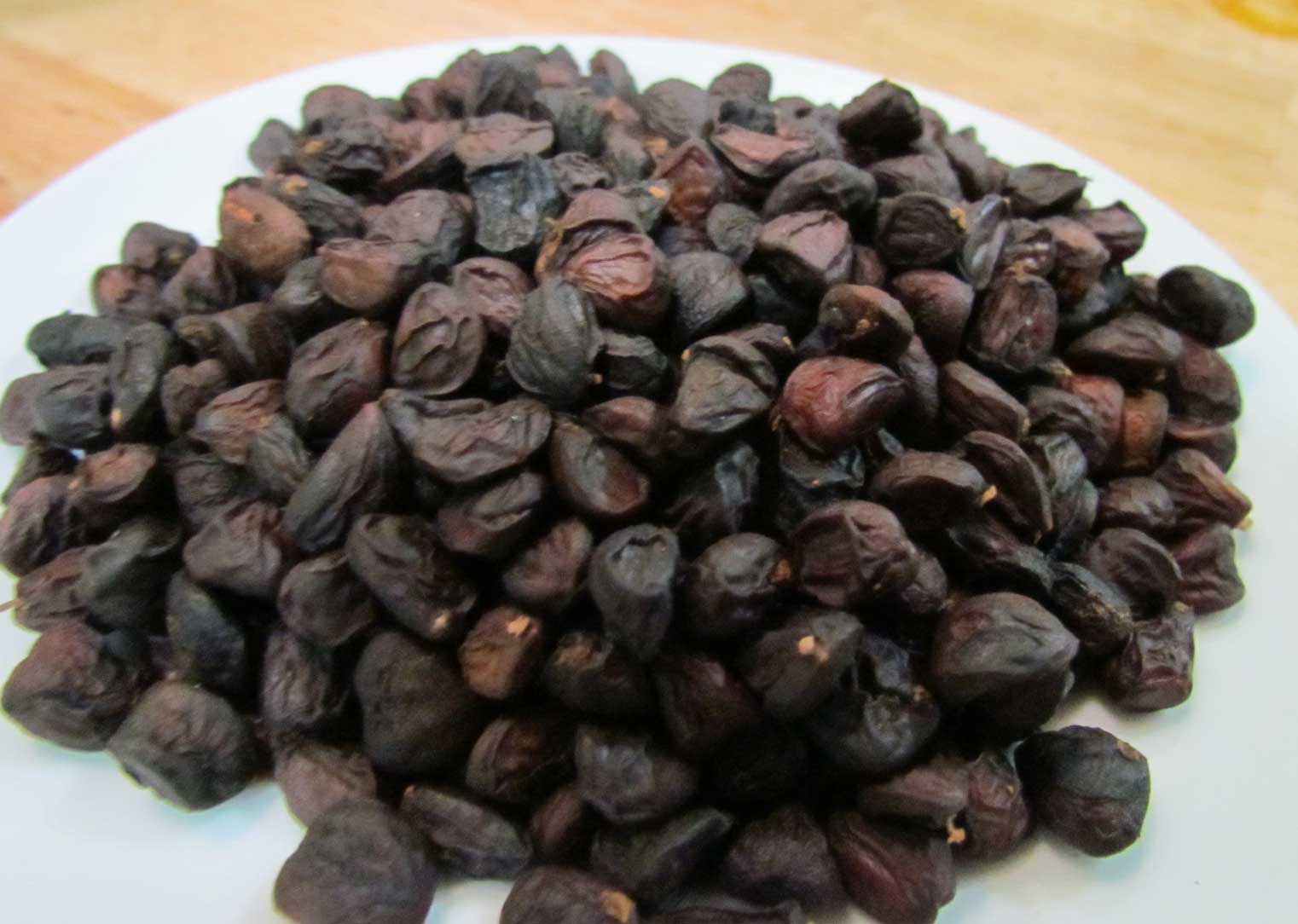 Hạt dổi nếp rừng