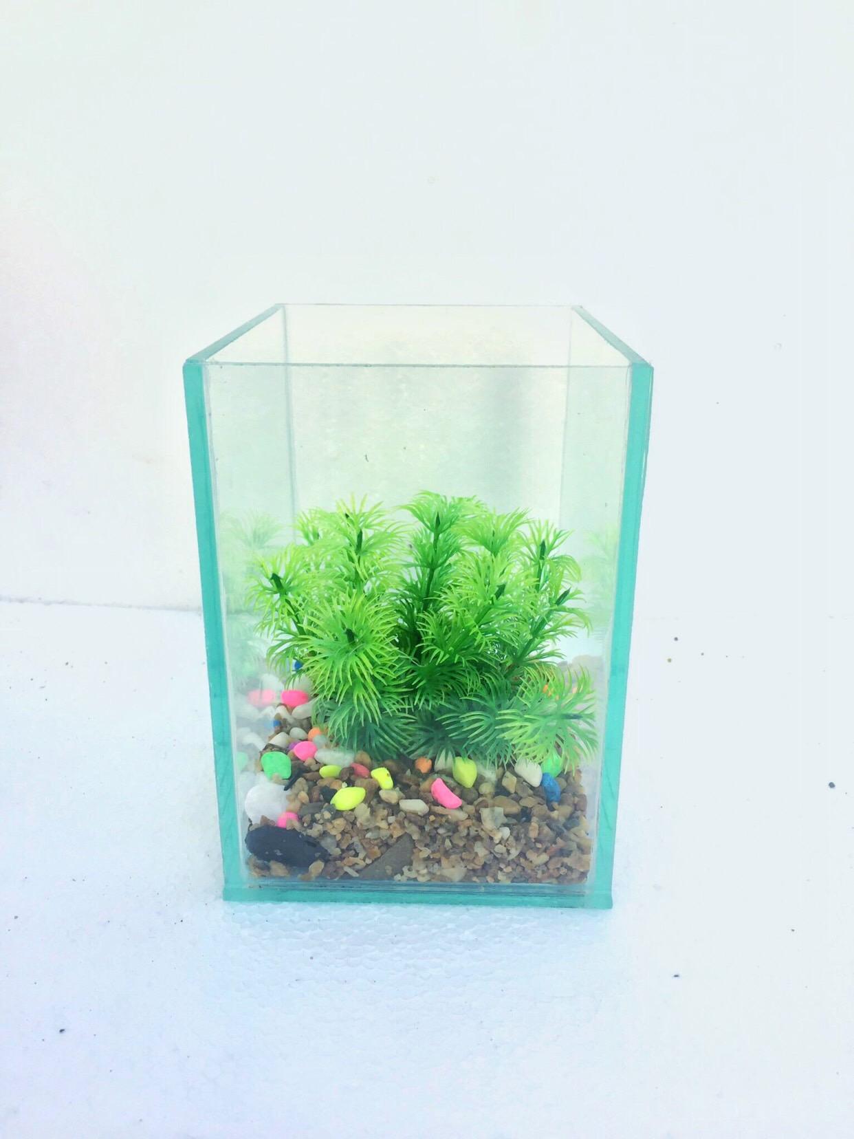 Bể cá mini betta 15*12*17cm DRC ( tặng kèm sỏi và thức ăn)