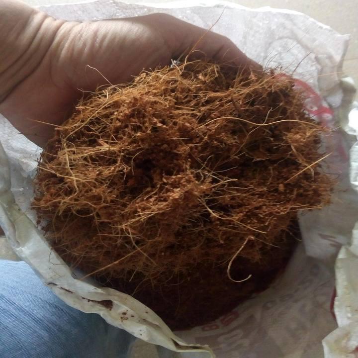 mụn sơ dừa 1kg