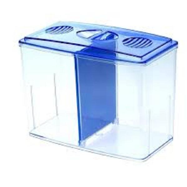 Bể cá chọi Betta box( tặng thức ăn cá)