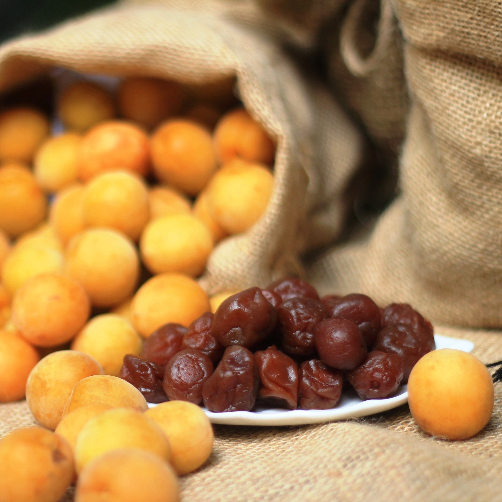 Dehydrated suka apricot 100 each
