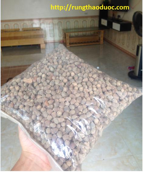 5kg Sim Rừng Khô Sấy Khô