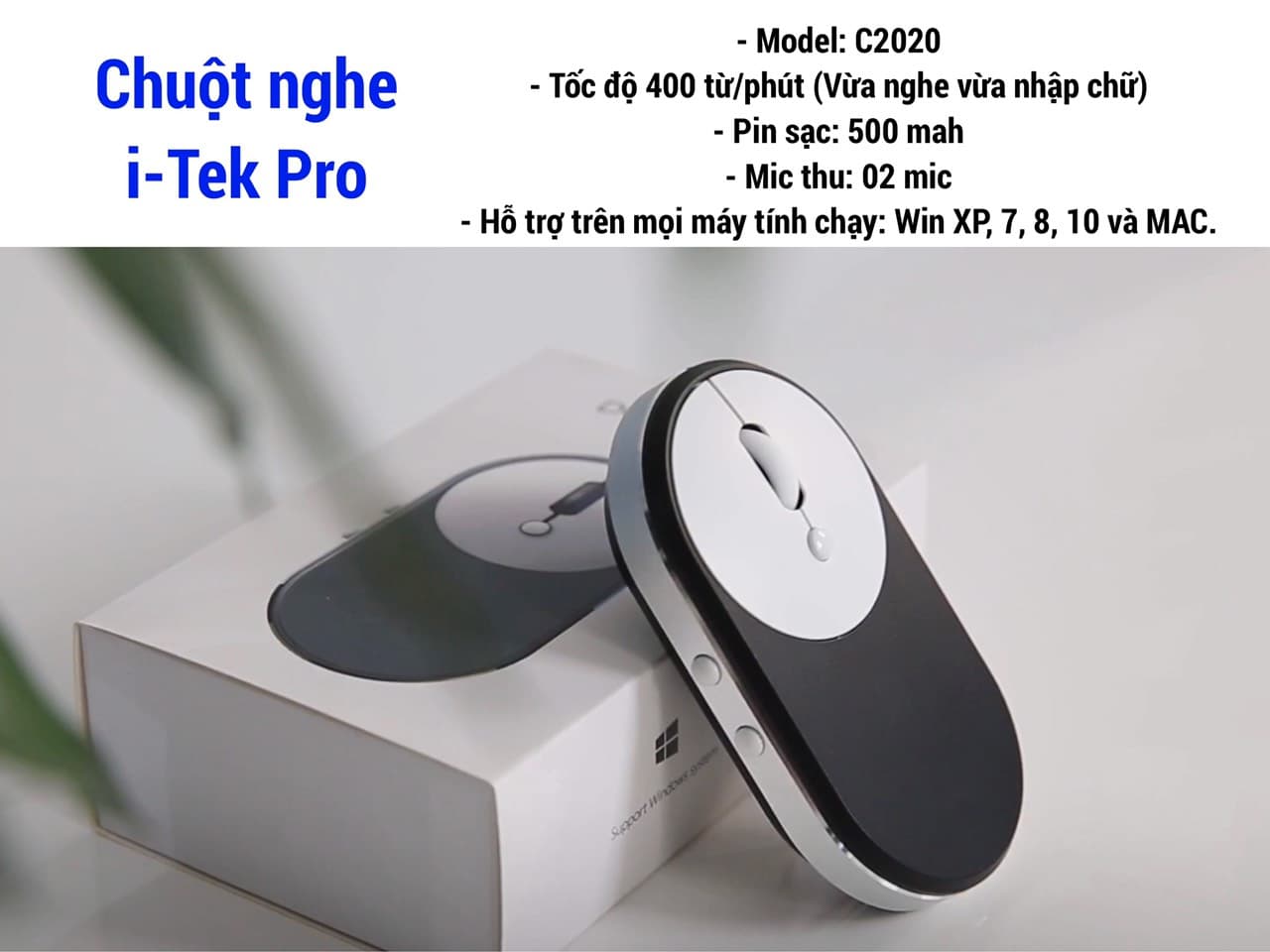 chuột nghe, dịch, soạn thảo văn bản