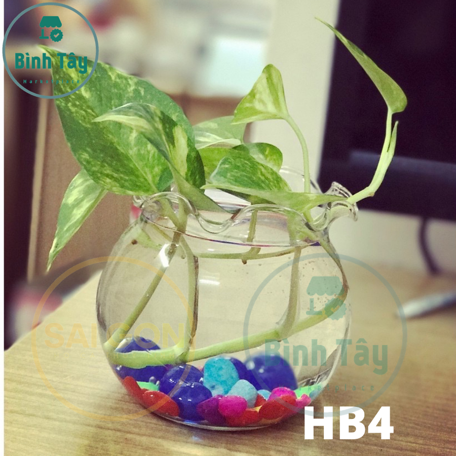 [HCM]BỂ CÁ THỦY TINH HỒ CÁ CHẬU CÂY MIỆNG BÈO BT-HB4