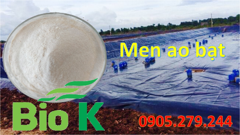 Men xử lý ao bạt BioK