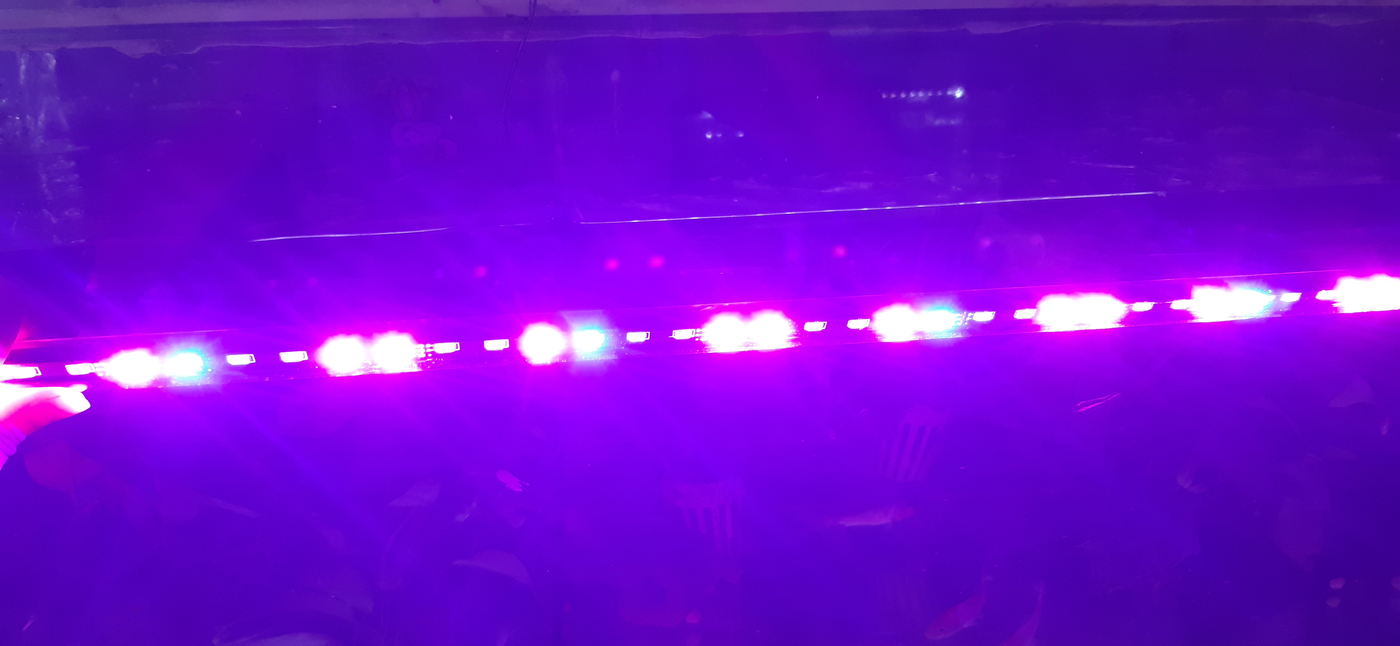 Đèn Led chìm cho Bể cá CaiBao T4- 80 3 chế độ màu