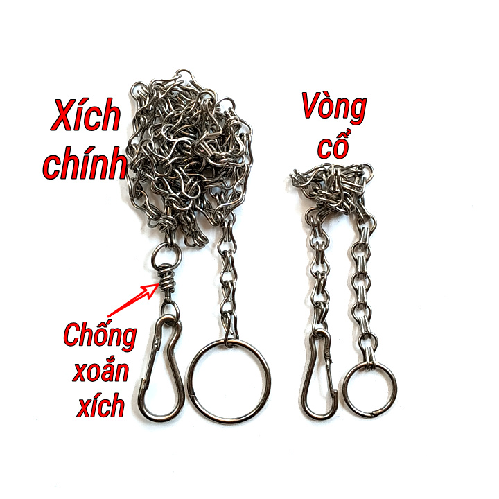 Xích chó inox cỡ vừa
