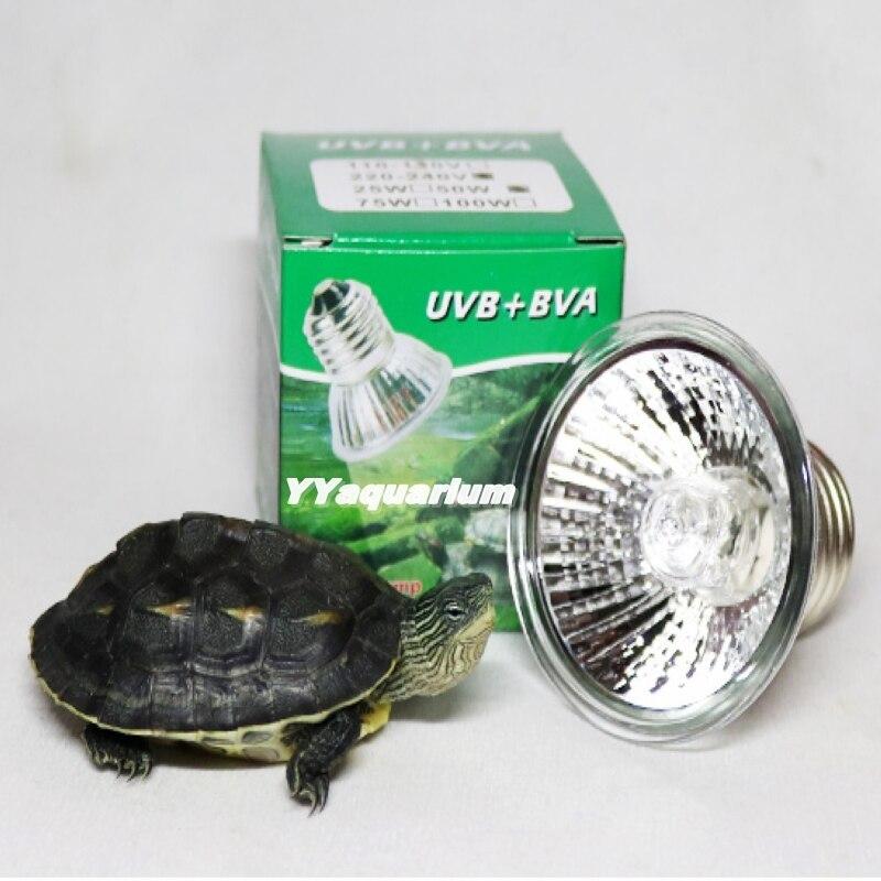 Combo kẹp đèn và bóng đèn UVA UVB cho thú cưng, bò sát