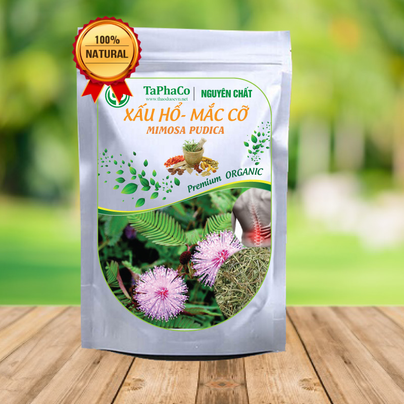 Cây xấu hổ (mắc cỡ) sấy khô 500g - tấn phát