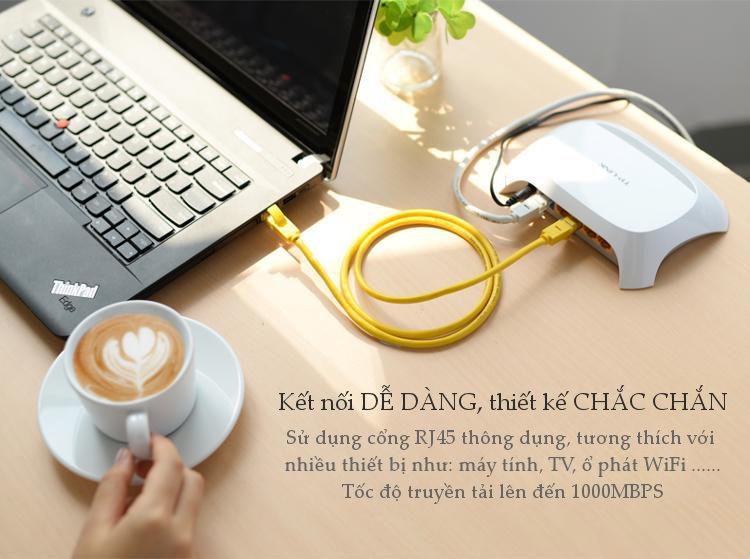 [HCM]Cáp mạng đúc sẵn 2 đầu CAT5 dài 3m Ugreen NW103 11232