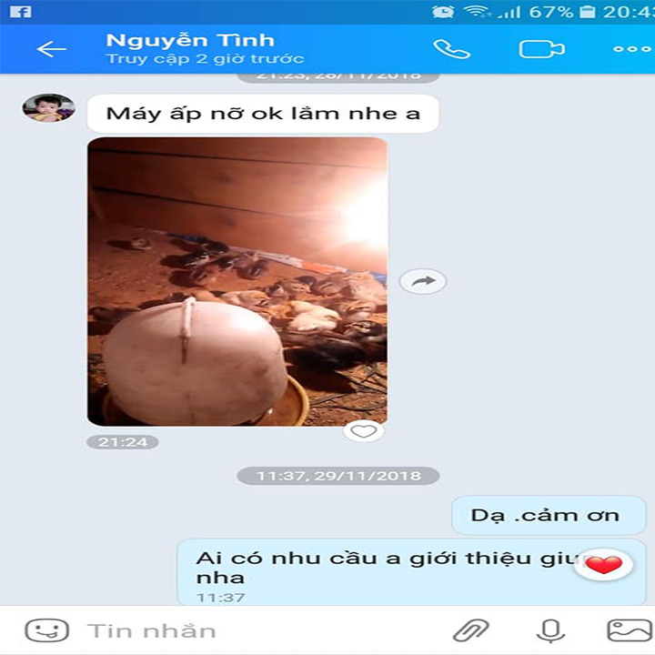 MÁY ẤP TRỨNG 54 TRỨNG ĐẢO TỰ ĐỘNG