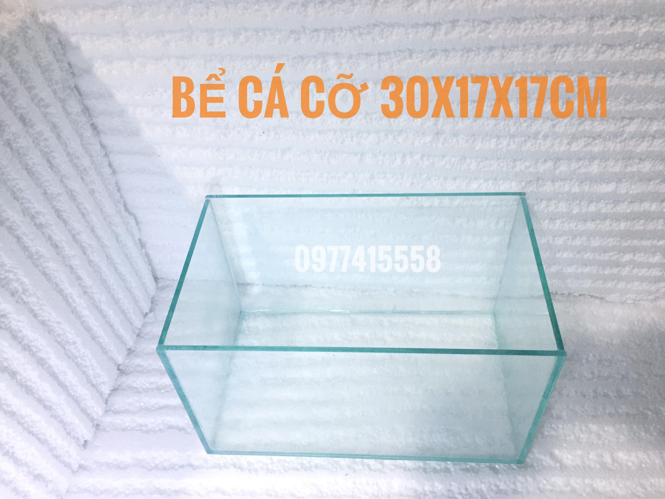 Hồ cá cảnh 3017cm DRC - bể cá mini để bàn làm việc, trang trí nhà cửa
