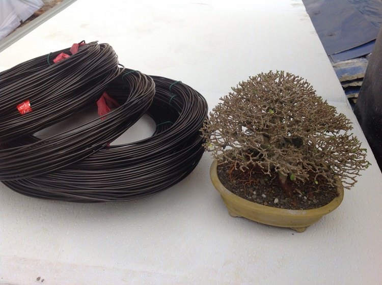 DÂY NHÔM UỐN CÂY CẢNH (4LY) 4MM - CHUYÊN DÙNG CÂY BONSAI - CÂY MINI - SET 500GR