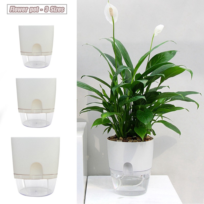 Chậu trồng cây tưới nước tự động - size m