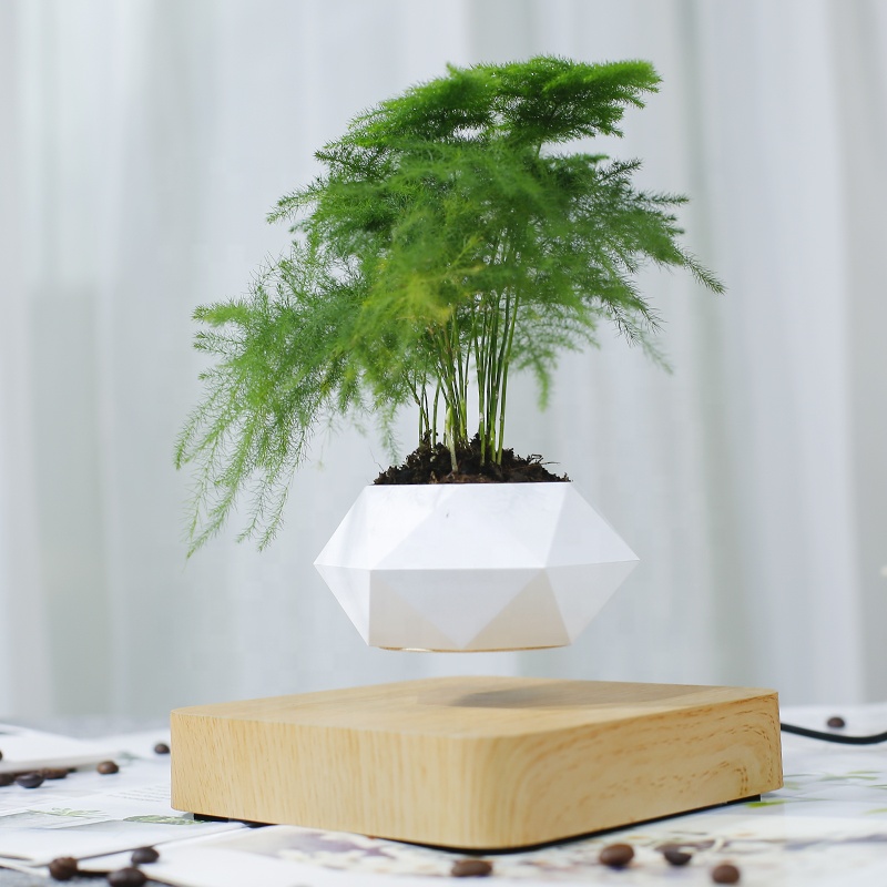 kệ trưng bày sản phẩm bonsai bay lơ lửng
