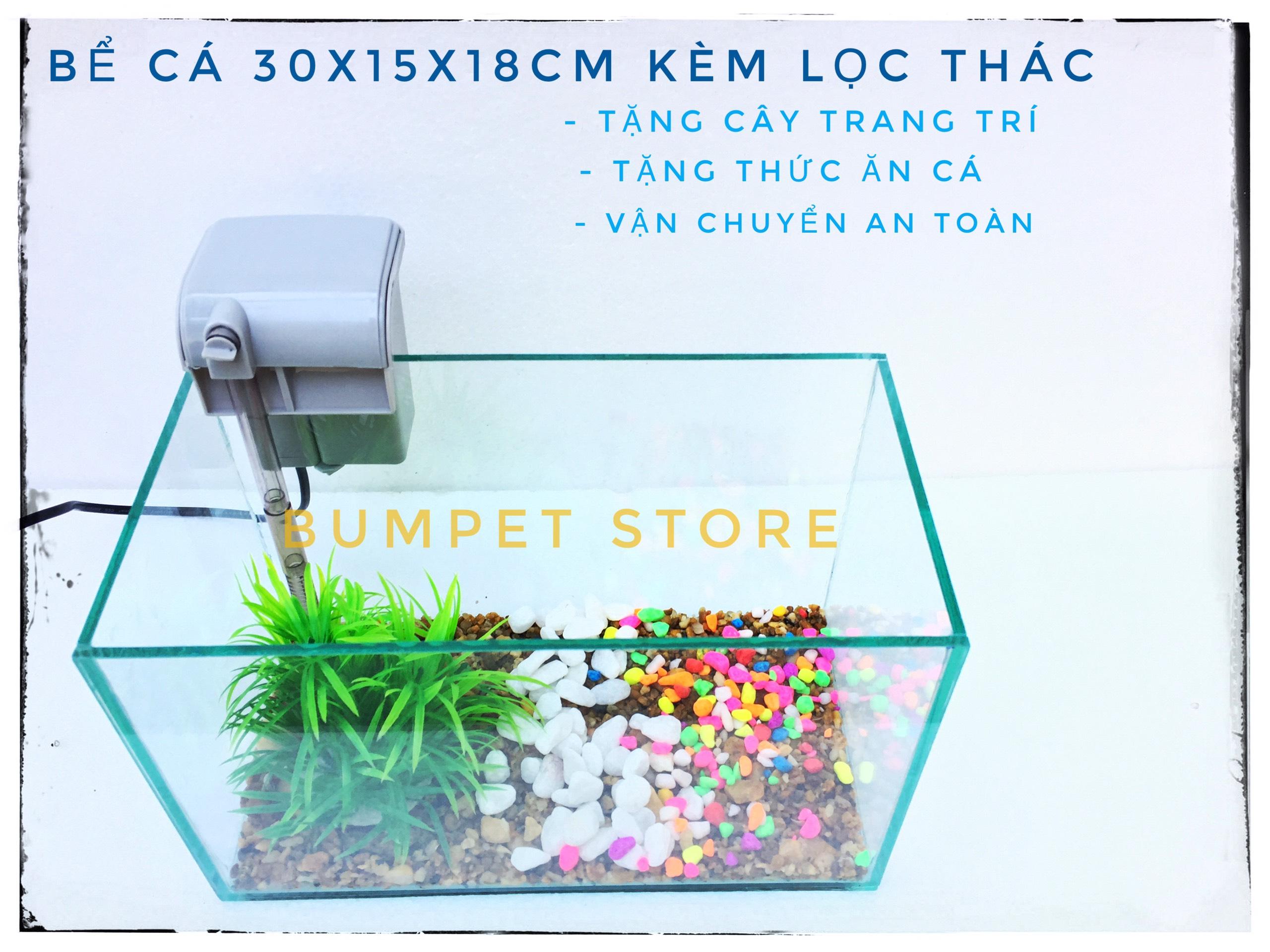 Bể cá mini 30*15*18 kèm lọc thác mini ( tặng cây và thức ăn)