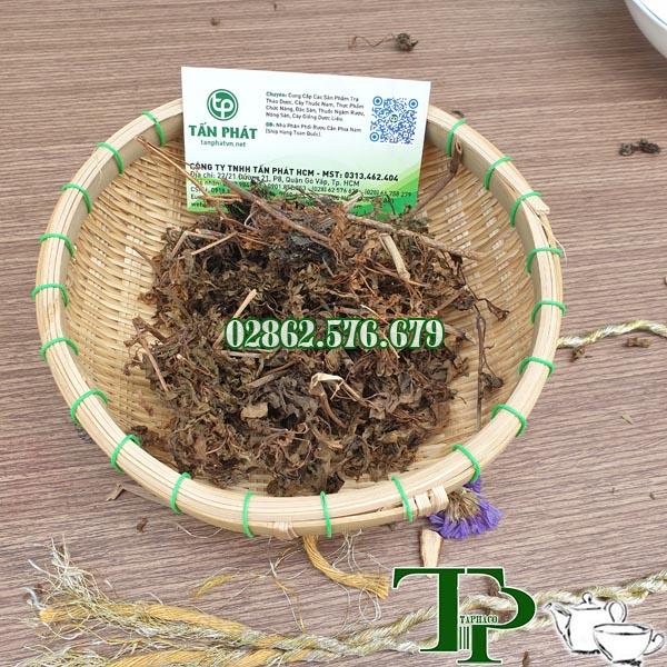 Lá đinh lăng khô 500g - Hàng công ty chất lượng cao với mức giá tốt nhất thị trường - Thảo Dược Tấn Phát